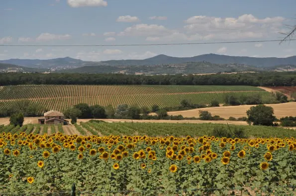azienda agricola umbra